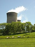 Thumbnail for File:Cows and cooling towers, Cottam - geograph.org.uk - 450176.jpg