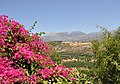 Cretan landscape