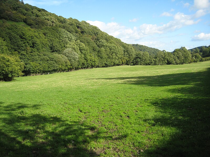 File:Cwm Gwyn - geograph.org.uk - 2069542.jpg