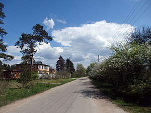 Dārziņi