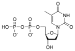 Vignette pour Thymidine diphosphate