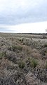 Deep ruts and swales carve through the prairie on the Cimarron National Grassland (ffa1b4e94cb64ff2b6f02d22e42d5315).JPG