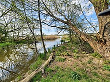 Mildenitzzufluss in den Dobbertiner See