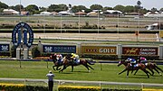 Thumbnail for Thoroughbred racing in Australia