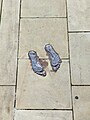 Earthbound- Plant by Antony Gormley, Cambridge.jpg