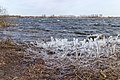 * Nomination: An icy wind blows over the Put van Nederhorst (wind force 9 at -2 ° C). Through the splashing water ice deposit on the waterfront. --Famberhorst 17:25, 24 March 2018 (UTC) * * Review needed