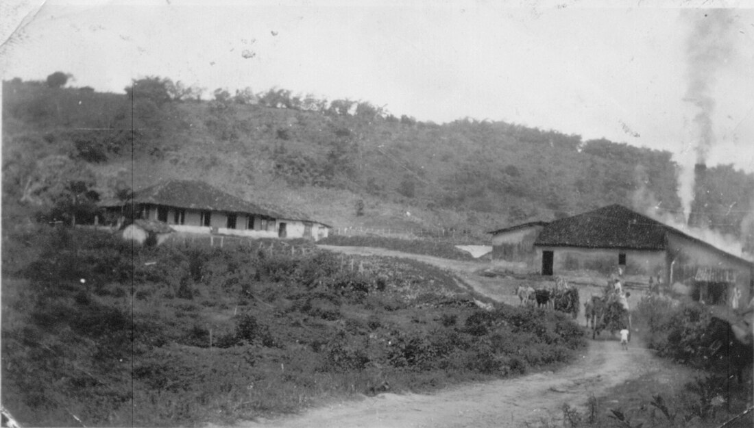 Zuckerindustrie in Brasilien