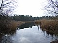 Thumbnail for Englemere Pond