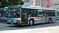 2001年式エルガ（ノンステップtype-B） いすゞKL-LV834N1 （遠鉄バス）