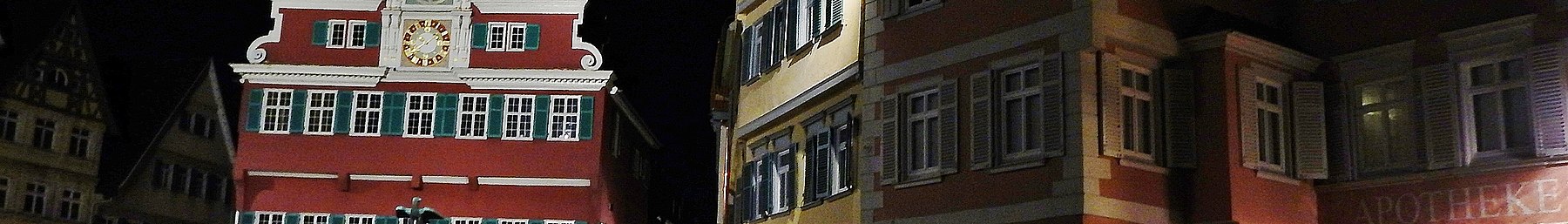 Esslingen banner01.jpg