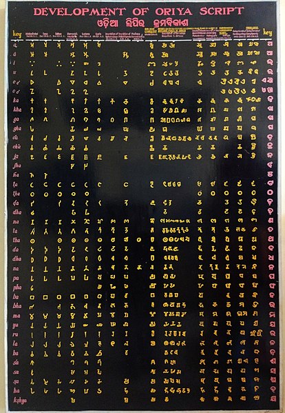 A detailed chart depicting evolution of the Odia script as displayed in a museum at Ratnagiri, Odisha