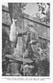 FMIB 48975 A well-known Victoria sportsman One of his rods and a spring salmon which he captured with it near Trial Island in August.jpeg