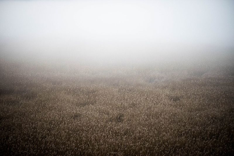 File:FOG ON THE LAKE.jpg