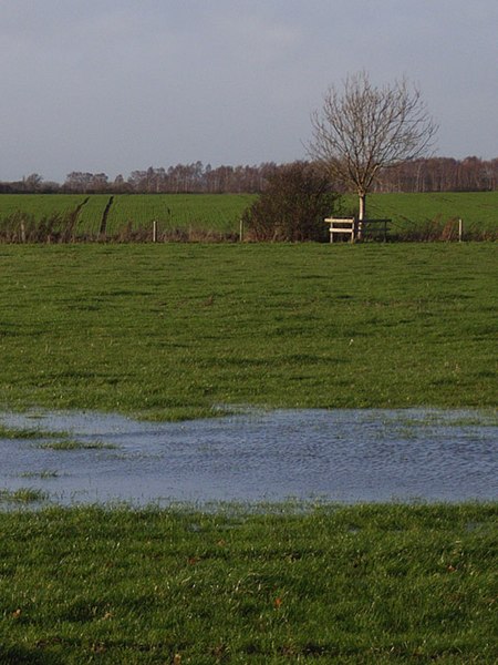 File:Farmland, Steventon - geograph.org.uk - 290141.jpg