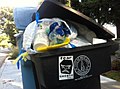 Fear Google art sticker by XVALA pictured on residential trash bin in Palo Alto, Ca 2011.jpg