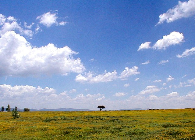 the peninsular plateau wikipedia