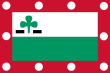 Vlag van de gemeente Meppel