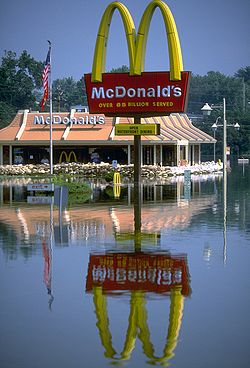 Great Flood of 1993, with the Mississippi River out of its banks in Festus, Missouri. Flooding 1993 fema 13708.jpg
