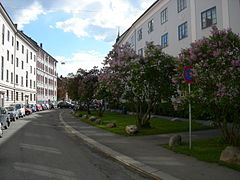 Fougstads gate med syrener, kvartal I til høyre, IIA til venstre, jugendgården nr. 25 midt i bildet Foto: Helge Høifødt