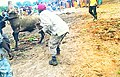 Funeral Tonga tradition.jpg