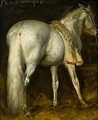 The Grey Horse 'Telemachus'