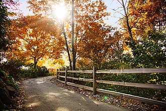 Fence in Autumn - Green Bay Botanical Garden GBBG fence autumn.jpg