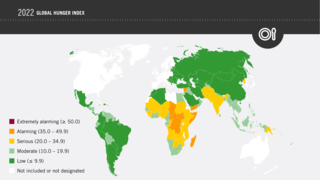 <span class="mw-page-title-main">Global Hunger Index</span> Tool that measures and tracks hunger