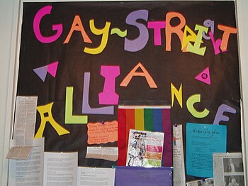 Some schools have gay–straight alliances or si...