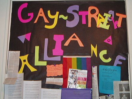 Some schools have gay–straight alliances or similar groups to counter homophobia and bullying and provide support for LGBT students in school.