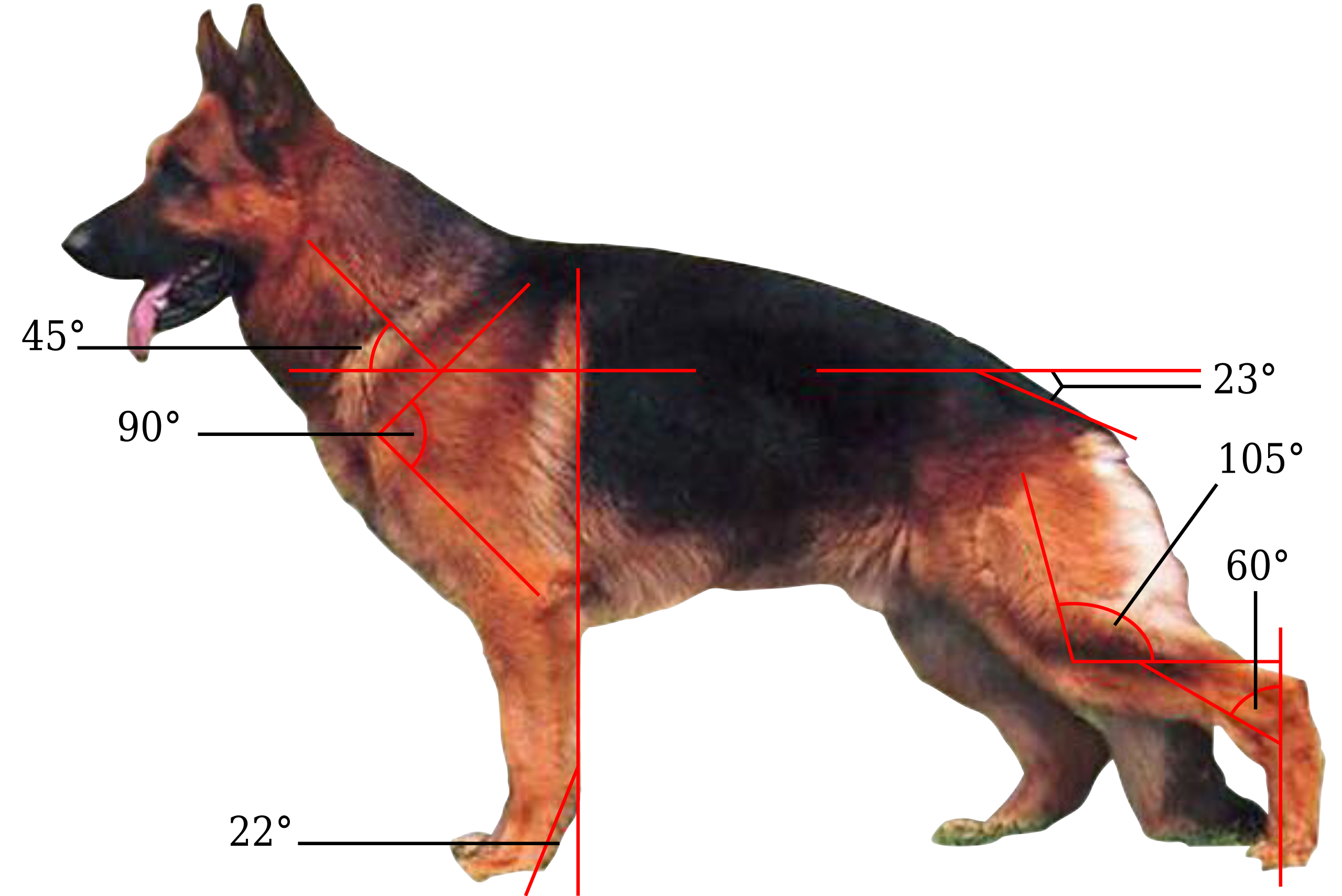 ファイル Gsd Metrics Svg Wikipedia