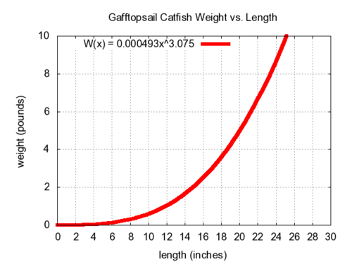 Catfish Weight Chart