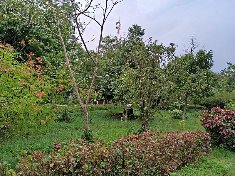 File:Garden near the Alley walkway at Kadri Park in Mangalore.jpg