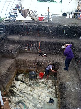Gault site: the 2007-2014 excavation at bedrock. Gault Site Area 15 internal.jpg