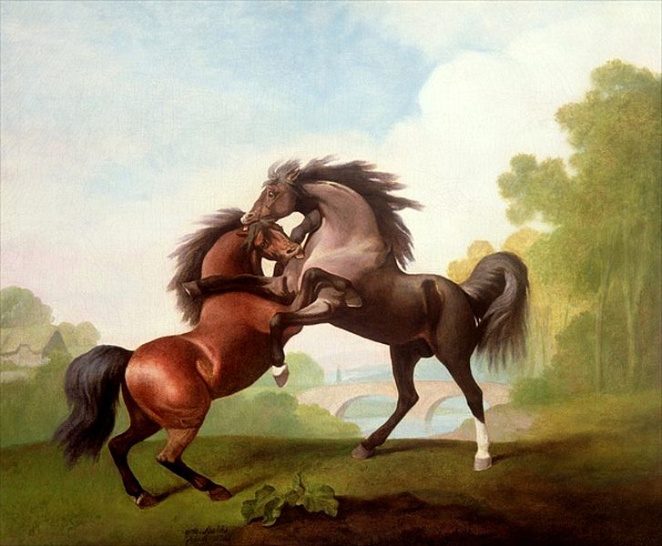 File:George Stubbs Fighting Stallions 1791.jpg