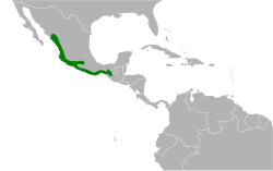 Granatellus venustus map.svg