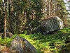 Granitrestlinge im Wald bei Neu-Nagelberg.jpg