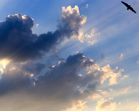 Clouds at dusk looks grey