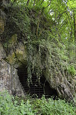 Vignette pour Grottes des Fonds de Forêt