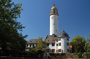 Höchster Altstadt: Entwicklung, Gefahren für den Baubestand, Historische Bauwerke