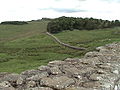 Portion of the wall near Housesteads