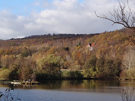 HarlyAmVienenburgerSee