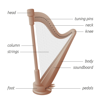 The basic structural elements and terminology of a en:harp