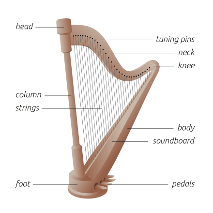 Basic structural elements and terminology of a modern concert harp