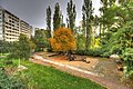 Herbst in Marzahn - panoramio.jpg