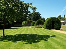 Lawn stripes, topiary