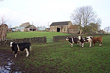 Howick Farm dengan beberapa saham - geograph.org.inggris - 301130.jpg