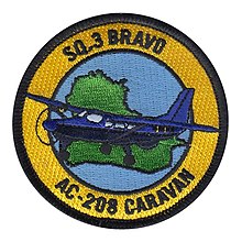 IAF-3rdSquadron.jpg