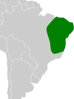 Icterus jamaicaii map.svg