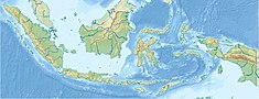 Tangguh gas field is located in Indonesia