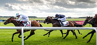 <span class="mw-page-title-main">Horse racing in Ireland</span>